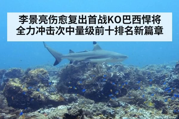 李景亮伤愈复出首战KO巴西悍将 全力冲击次中量级前十排名新篇章